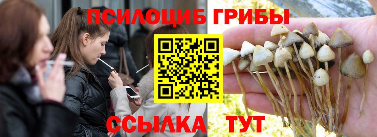 цена наркотик  Галлюциногенные грибы Magic Shrooms  Вход с VPN  Бугуруслан  Галлюциногенные грибы Psilocybine cubensis 